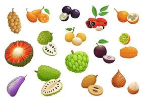 Isolated cartoon exotic tropical fruits vector
