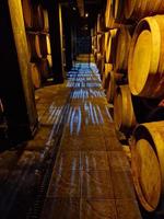 Old cellar with illuminated stacked oak barrels in a winery photo