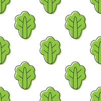 Seamless pattern lettuce vector illustration