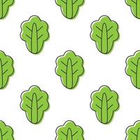 Seamless pattern lettuce vector illustration