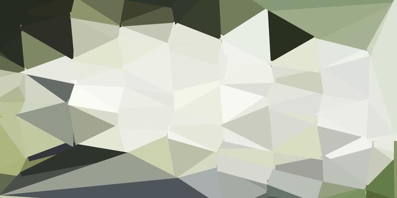 Light gray vector abstract triangle background.