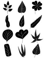 Leaves hand drawn icon vector set isolated on white background, Hand drawn decorative elements, Simple cartoon hand drawn style