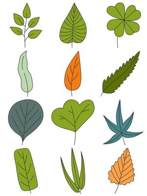 Leaves hand drawn icon vector set isolated on white background, Hand drawn decorative elements, Simple cartoon hand drawn style