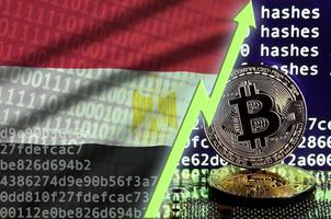 bandera de egipto y flecha verde ascendente en la pantalla de minería bitcoin y dos bitcoins dorados físicos foto