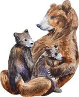 Mother bear with little babiies bears  brown animals sitting watercolor illustration isolated vector