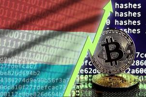 Luxembourg flag and rising green arrow on bitcoin mining screen and two physical golden bitcoins photo