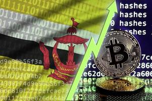 bandera de brunei darussalam y flecha verde ascendente en la pantalla de minería de bitcoin y dos bitcoins dorados físicos foto