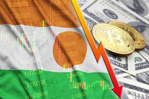 Niger flag and cryptocurrency falling trend with two bitcoins on dollar bills photo