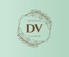 colección de logotipos de monograma de boda con letras iniciales dv, plantillas florales y minimalistas modernas dibujadas a mano para tarjetas de invitación, guardar la fecha, identidad elegante para restaurante, boutique, café en vector