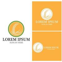 Agriculture icon and symbol vector template