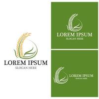 Agriculture icon and symbol vector template