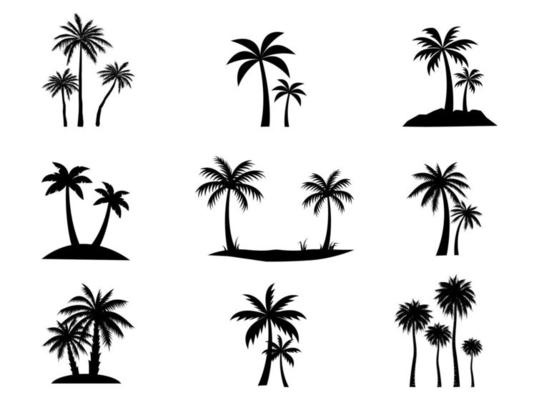 Collection of Black Coconut trees Icon. Can be used to illustrate any nature or healthy lifestyle topic.