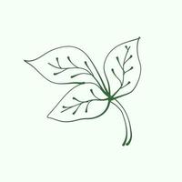 leaf outline for decoration. Vector Leaf Silhouette. Hand drawn branches with leaves and branch. plant.