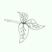 leaf outline for decoration. Vector Leaf Silhouette. Hand drawn branches with leaves and branch. plant.