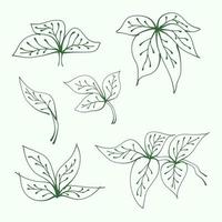 set of leaves. Hand drawn branches with leaves and branch. plant. leaf outline for decoration. Vector Collection of Leaf Silhouettes.