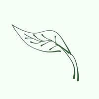 leaf outline for decoration. Vector Leaf Silhouette. Hand drawn branches with leaves and branch. plant.