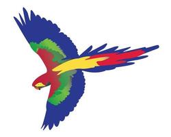 parrot flying on white background vector