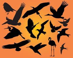 Wild birds on an orange background vector
