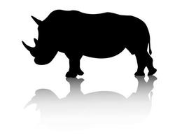 rhino animal on white background vector