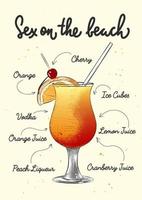 Vector engraved style Sex On The Beach cocktail illustration for posters, decoration, logo and print. Hand drawn sketch with lettering and recipe, beverage ingredients. Detailed colorful drawing.