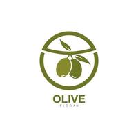 conjunto de ilustración de vector de logotipo de oliva