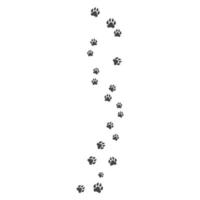 Paw background template vector