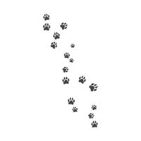 Paw background template vector