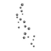 Paw background template vector