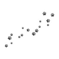 Paw background template vector