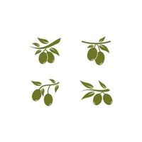 set of Olive logo vector illustration