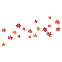 Maple leaf background vector illustration