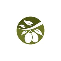 conjunto de ilustración de vector de logotipo de oliva