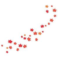 Maple leaf background vector illustration