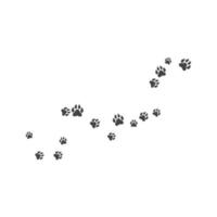 Paw background template vector