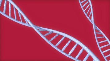 Abstract DNA Strands on Pink Background video