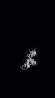 Rising Smoke forming Text Typeface and Dissipates with alpha curly font the Character C video