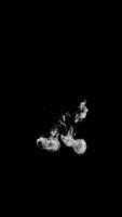 Rising Smoke forming Text Typeface and Dissipates with alpha curly font the Character N video