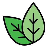 Basil plant leaf icon color outline vector