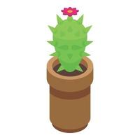 Cactus pot icon isometric vector. Desert grass vector