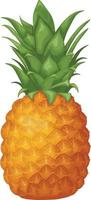 Pineapple. Image of a ripe pineapple. Juicy tropical fruit. Vector illustration isolated on a white background