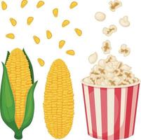 Corn. Image of corn with leaves. An ear of corn. Popcorn in a bucket. Fried corn. Vector illustration