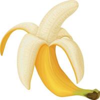 Banana. Image of a peeled banana. Ripe tropical fruit. Ripe banana. Vector illustration isolated on a white background