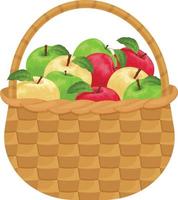 Apples. Ripe apples in a wicker basket. A basket of apples. A basket with ripe apples. Vitamin products. Vector illustration isolated on a white background
