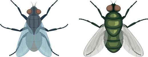 la mosca verde .mosca insecto. imagen de una vista superior de mosca. un insecto volador ilustración vectorial aislada en un fondo blanco. vector