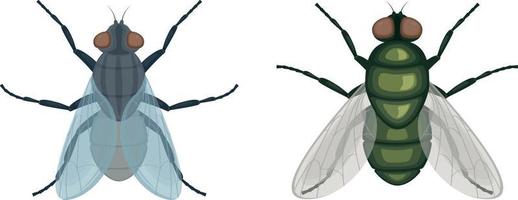 The green fly .Fly insect. Image of a fly top view. A flying insect. Vector illustration isolated on a white background.