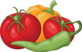 Ripe vegetables. Image of ripe vegetables, such as bell pepper, chili pepper and tomatoes. A set of vegetables. Vector illustration isolated on a white background