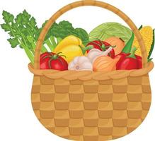 Fresh vegetables. Vegetables in the basket. Vegetables from the garden, such as tomatoes, peppers, corn and onions, garlic and cabbage broccoli with celery. Vector illustration isolated