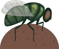 A green fly is sitting on a lump of manure .A flying insect on a turd. Image of a fly, side view. A sitting insect. Vector illustration isolated on a white background