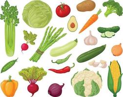 conjunto de verduras. una gran colección de verduras, como apio, repollo, tomates, papas, zanahorias, pepinos, ajo, calabacín y también pimiento, remolacha, cebolla y maíz. productos vegetarianos vector