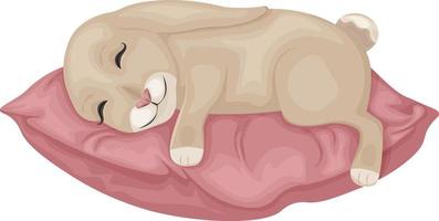 Rabbit on the pillow. The image of a cute rabbit lying on a soft pillow. A sleeping hare on a pillow. Vector illustration isolated on a white background